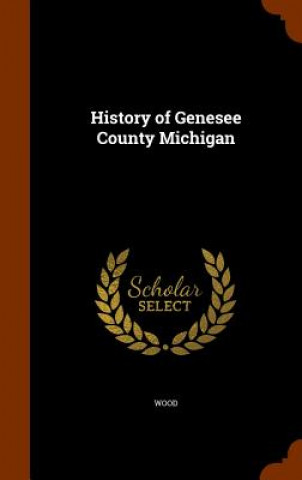 Carte History of Genesee County Michigan D.E. Wood