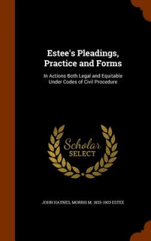 Kniha Estee's Pleadings, Practice and Forms John Haynes