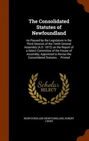 Книга Consolidated Statutes of Newfoundland Newfoundland Newfoundland