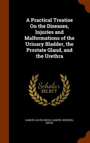 Carte Practical Treatise on the Diseases, Injuries and Malformations of the Urinary Bladder, the Prostate Gland, and the Urethra Samuel David Gross