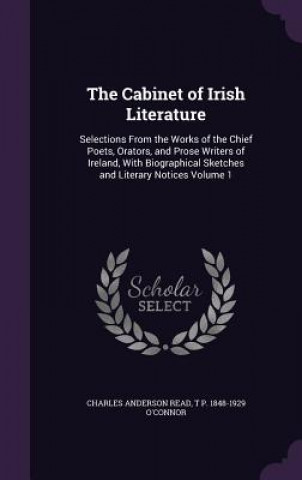 Βιβλίο Cabinet of Irish Literature Charles Anderson Read