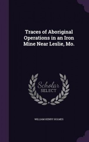 Carte Traces of Aboriginal Operations in an Iron Mine Near Leslie, Mo. William Henry Holmes