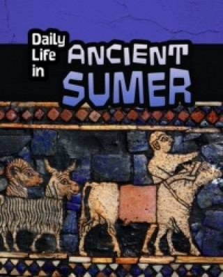 Kniha Daily Life in Ancient Civilizations Pack B of 4 Lori Hile