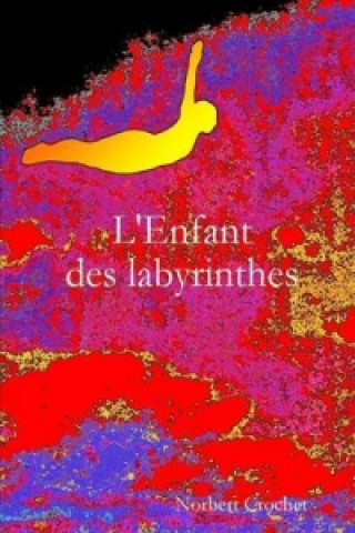 Carte L'Enfant Des Labyrinthes Norbert Crochet