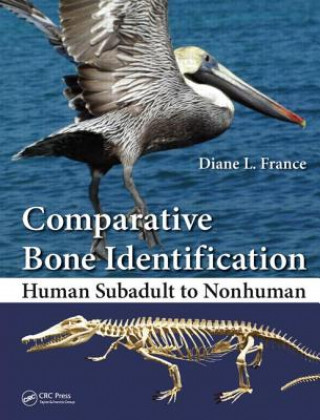 Kniha Comparative Bone Identification Diane L. France