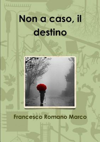 Könyv Non a Caso, Il Destino Francesco Romano Marco