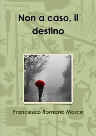 Libro Non a Caso, Il Destino Francesco Romano Marco