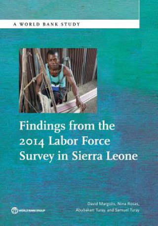 Kniha Findings from the 2014 labor force survey in Sierra Leone David Margolis
