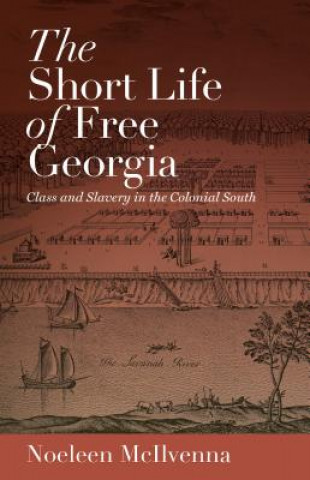 Book Short Life of Free Georgia Noeleen McIlvenna