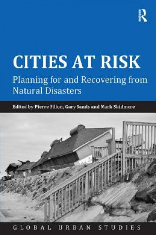 Книга Cities at Risk Pierre Filion