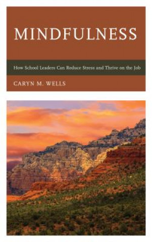 Könyv Mindfulness Caryn Wells