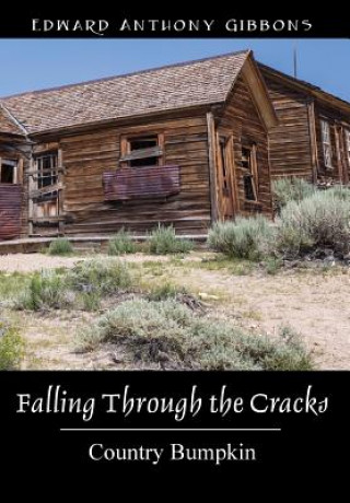 Könyv Falling Through the Cracks Edward Anthony Gibbons
