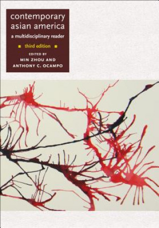 Könyv Contemporary Asian America (third edition) 