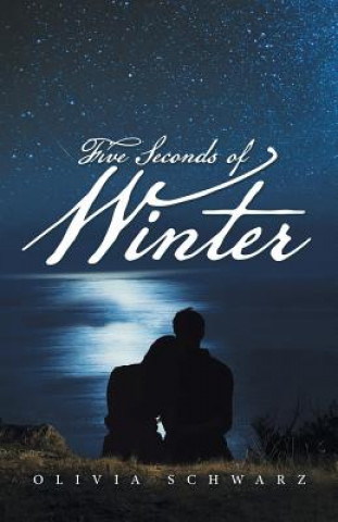 Könyv Five Seconds of Winter Olivia Schwarz