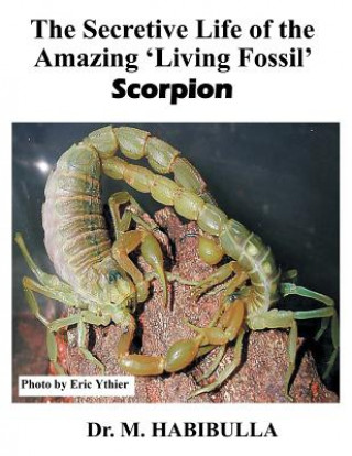 Książka Secretive Life of the Amazing 'Living Fossil' Scorpion Dr M Habibulla