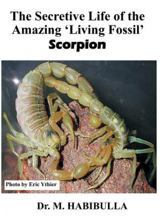 Buch Secretive Life of the Amazing 'Living Fossil' Scorpion Dr M Habibulla