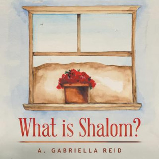 Boek What is Shalom? A Gabriella Reid
