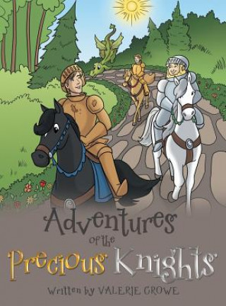 Kniha Adventures of the Precious Knights Valerie Crowe