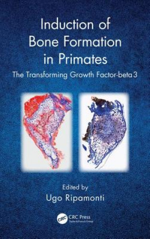 Könyv Induction of Bone Formation in Primates Ugo Ripamonti