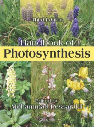 Carte Handbook of Photosynthesis 
