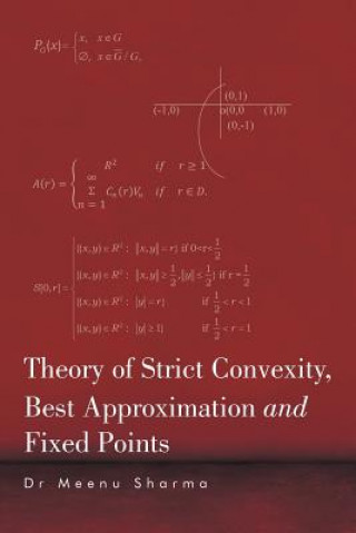 Knjiga Theory of Strict Convexity, Best Approximation and Fixed Points Dr Meenu Sharma