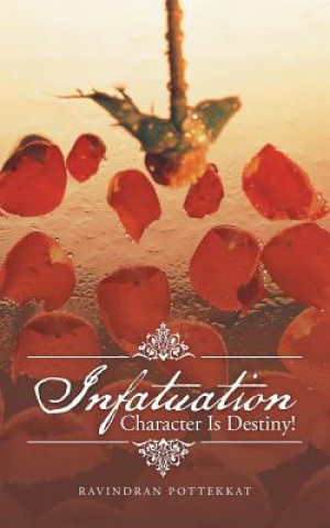 Buch Infatuation Ravindran Pottekkat