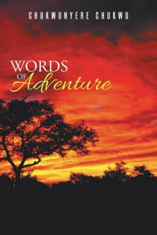 Könyv Words of Adventure Chukwunyere Chukwu