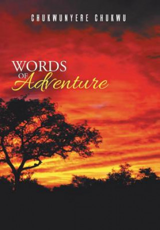 Book Words of Adventure Chukwunyere Chukwu