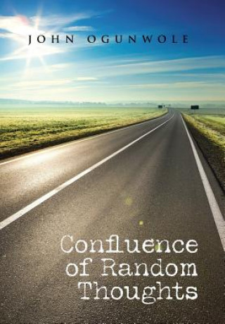 Buch Confluence of Random Thoughts John Ogunwole