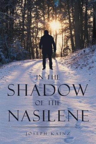 Carte In the Shadow of the Nasilene Joseph Kainz