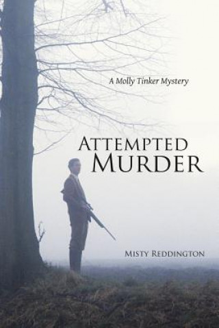 Knjiga Attempted Murder Misty Reddington