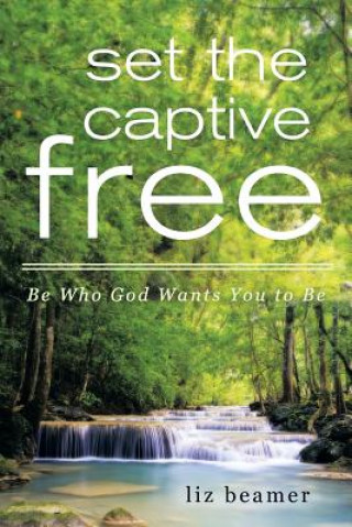 Книга Set the Captive Free Liz Beamer