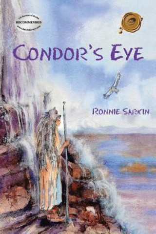 Book Condor's Eye Ronnie Sarkin