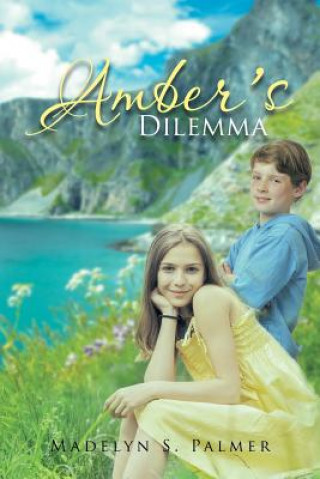 Buch Amber's Dilemma Madelyn S Palmer