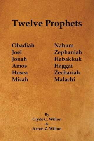 Kniha Twelve Prophets Clyde C Wilton