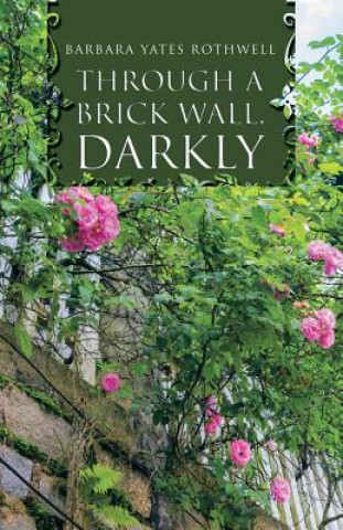 Kniha Through a Brick Wall, Darkly Barbara Yates Rothwell