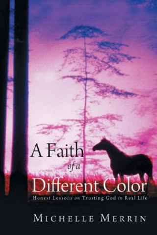 Knjiga Faith of a Different Color Michelle Merrin