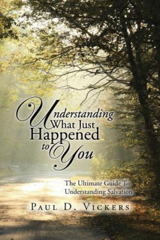 Book Understanding What Just Happened to You Paul D Vickers