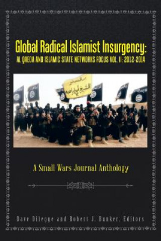 Książka Global Radical Islamist Insurgency Dave Dilegge