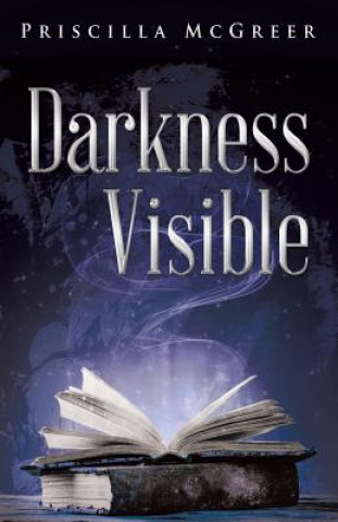 Kniha Darkness Visible Priscilla McGreer