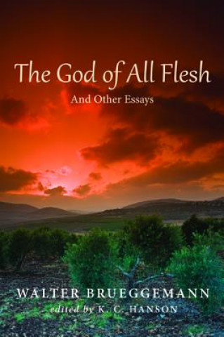 Könyv God of All Flesh Dr Walter Brueggemann