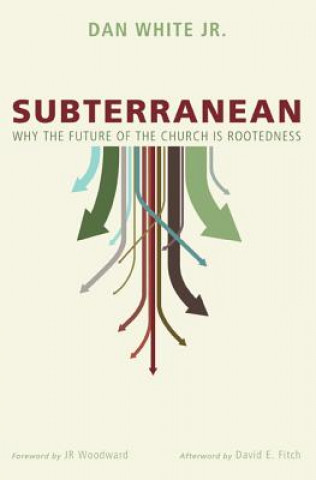 Libro Subterranean Dan Jr White