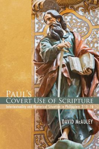 Kniha Paul's Covert Use of Scripture David McAuley