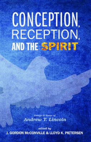 Knjiga Conception, Reception, and the Spirit J. Gordon Mcconville