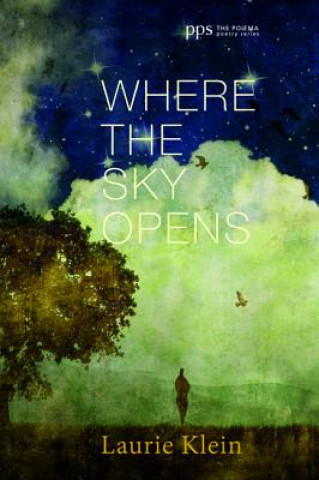 Kniha Where the Sky Opens Klein