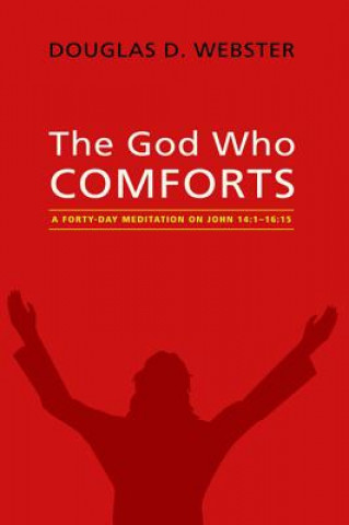 Libro God Who Comforts Douglas D Webster
