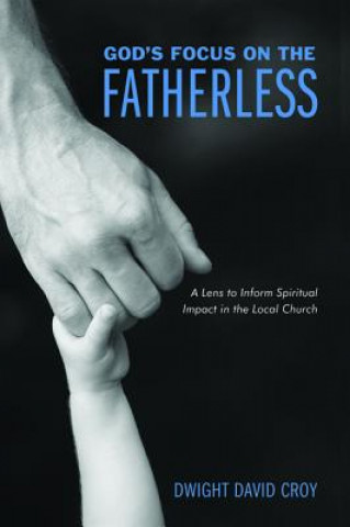 Buch God's Focus on the Fatherless DWIGHT DAVID CROY