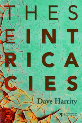 Buch These Intricacies Dave Harrity