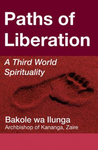 Kniha Paths of Liberation Bakole Wa Ilunga