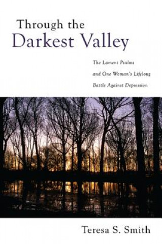 Carte Through the Darkest Valley Teresa S Smith